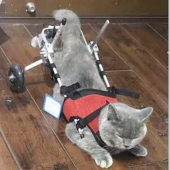 Mačka Voziček Avto Paraliziran Zlom Pet Zadnje Noge, Hrbtenice, Poškodbe Rehabilitacijo Za Usposabljanje Avto Zadnjih Okončin Invalidnosti Voziček